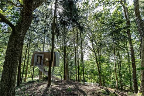 lvtag trtophotel|Quaint treetop cabins take Nordic minimalism up into the canopy